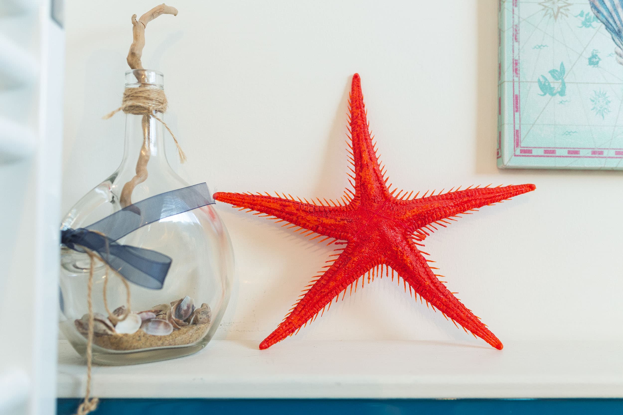 stella marina rossa su mensola decorativa